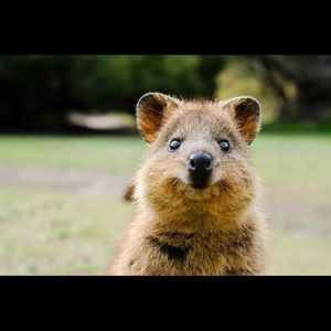 Meet your Posher, Ashlyn